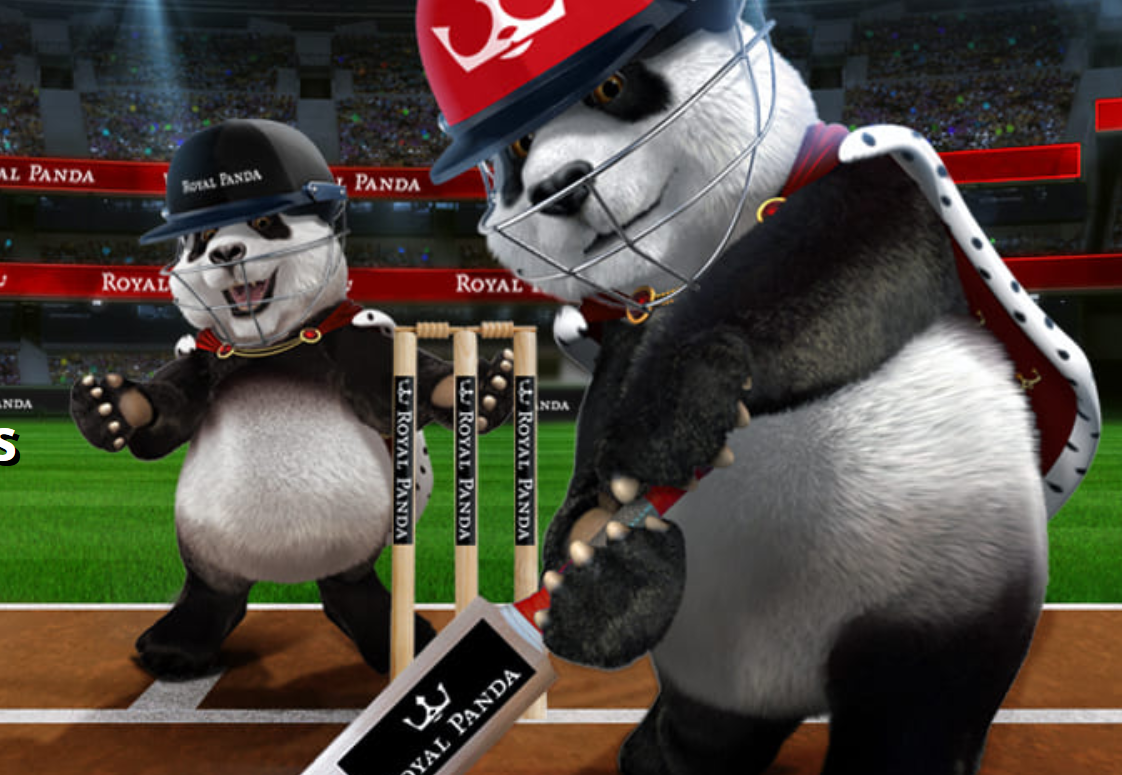Cricket Promotion at Royal Panda